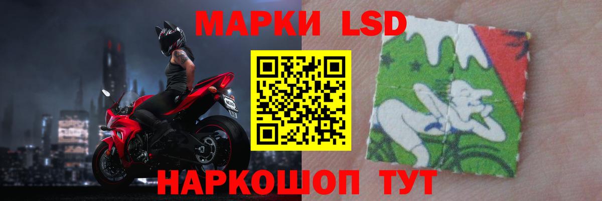 LSD-25 экстази  Вход с VPN  Новороссийск  Лсд 25 экстази кислота 
