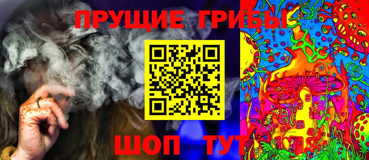 Галлюциногенные грибы прущие грибы Новороссийск