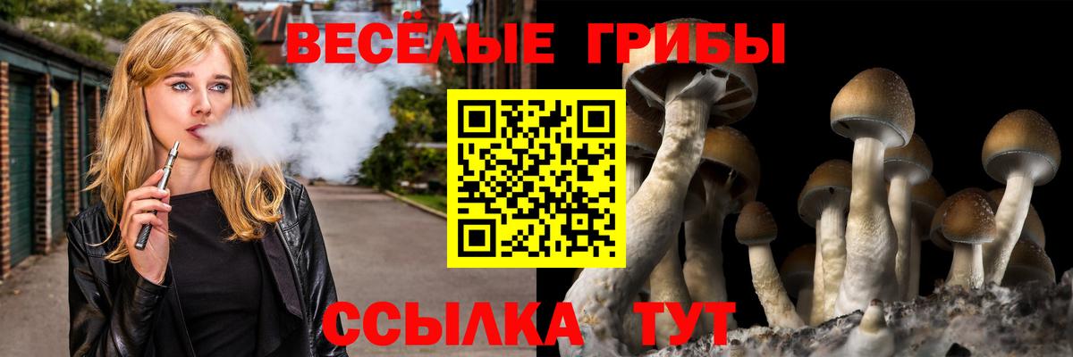 Галлюциногенные грибы мицелий  Вход с VPN  Новороссийск 