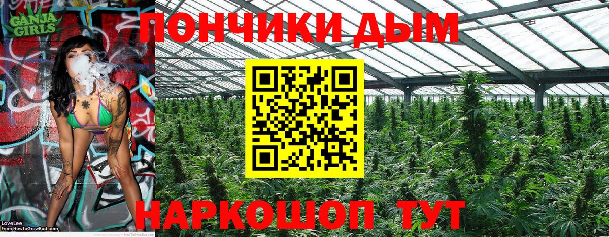 Новороссийск  Канабис семена  Марихуана конопля  Конопля гибрид  Вход с VPN 